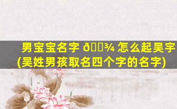 男宝宝名字 🌾 怎么起吴宇(吴姓男孩取名四个字的名字)